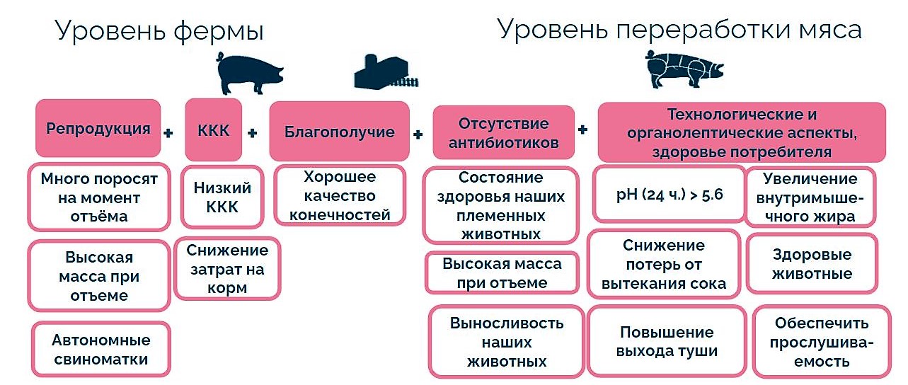 Генетика - Техническое сопровождение