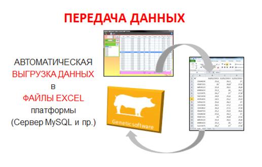 C 360 - Станция тестирования