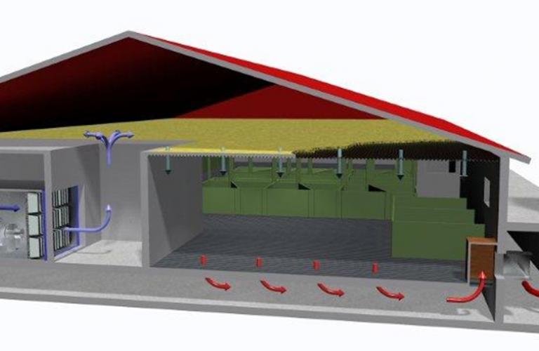 Климат и вентиляция на свиноферме