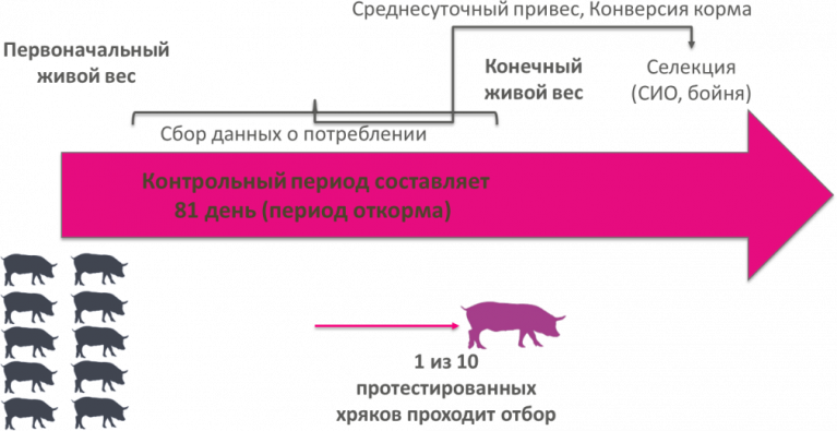 C 360 - Станция тестирования