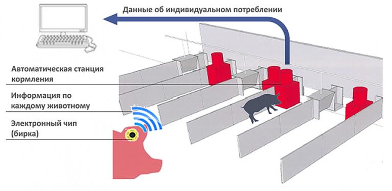 C 360 - Станция тестирования