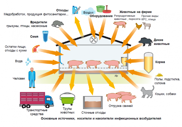 Техническое сопровождение БИОБЕЗОПАСНОСТЬ И УПРАВЛЕНИЕ САНИТАРИЕЙ